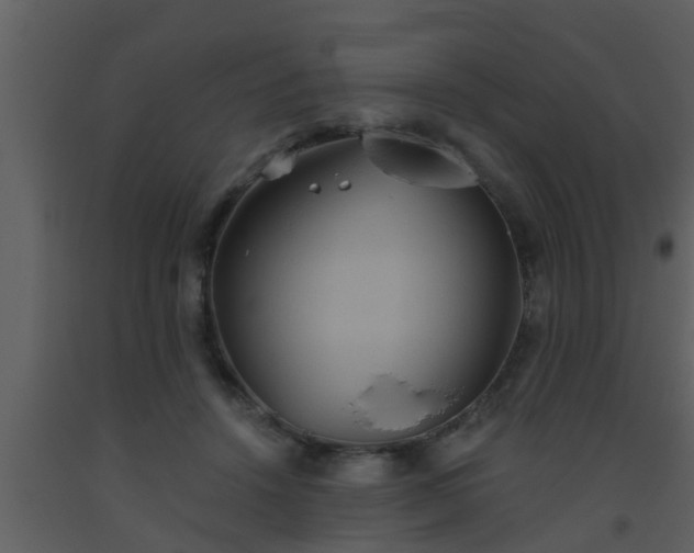 X0000093520456200710191335