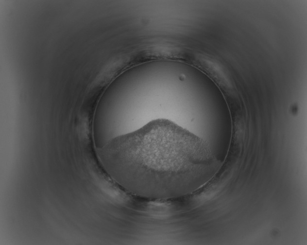 X0000093520457200710191335