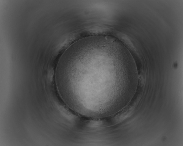 X0000093520458200710191335