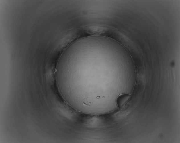 X0000093520460200710191335