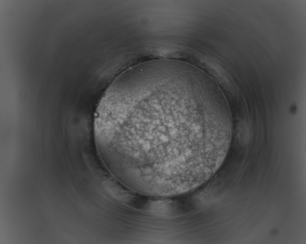 X0000093520461200710191335