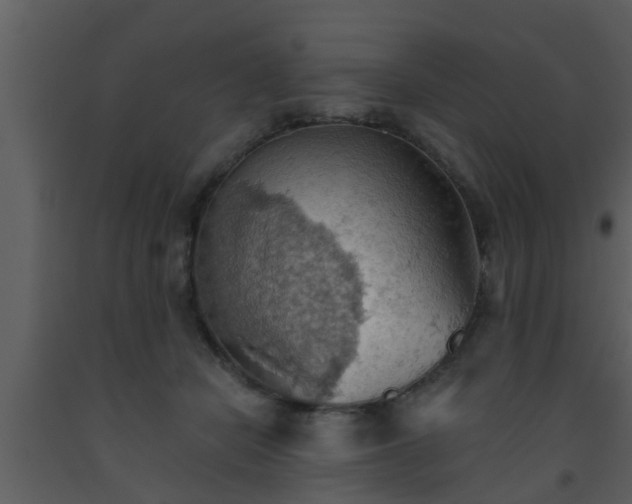 X0000093520462200710191335