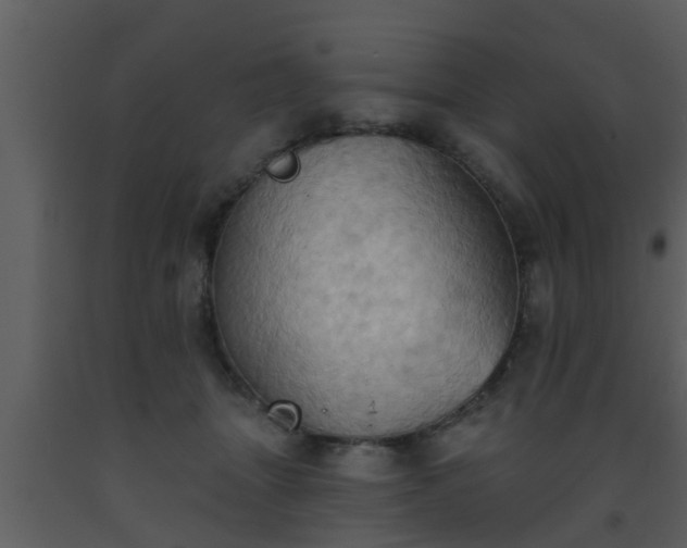 X0000093520463200710191335