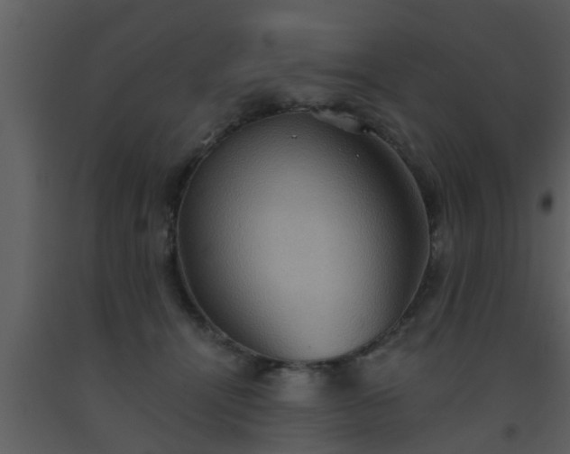 X0000093520464200710191335