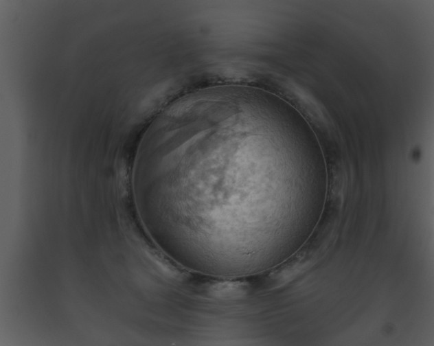 X0000093520465200710191335