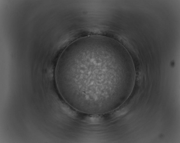 X0000093520466200710191335