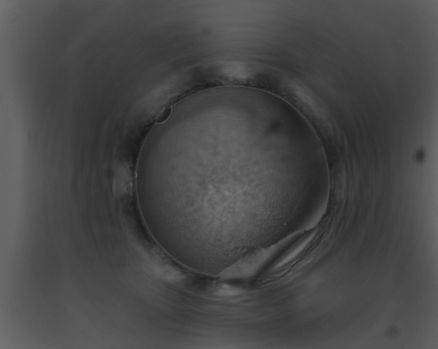 X0000093520467200710191335