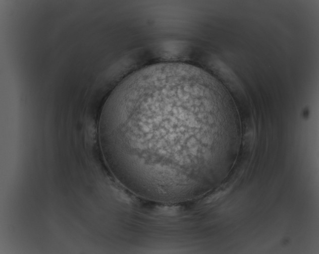 X0000093520469200710191336