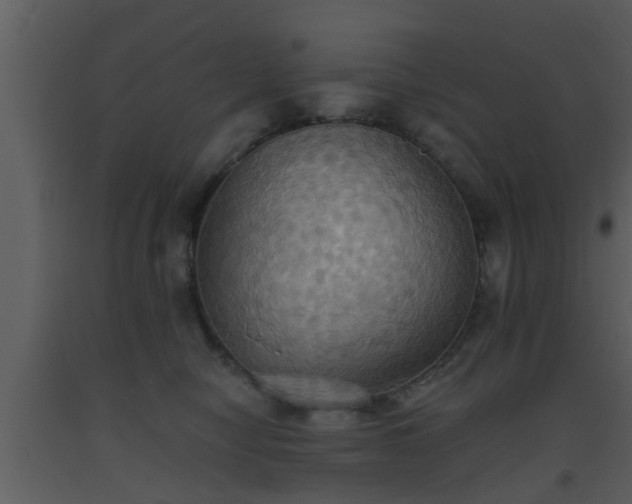 X0000093520470200710191336