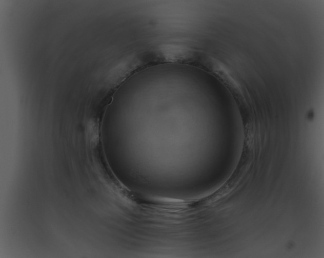 X0000093520471200710191336