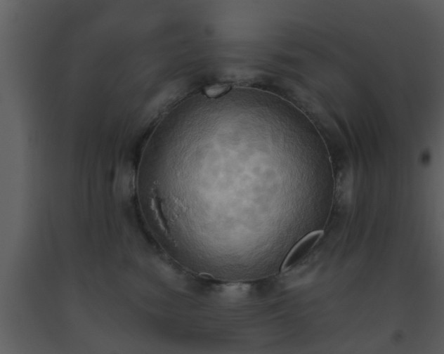 X0000093520474200710191336