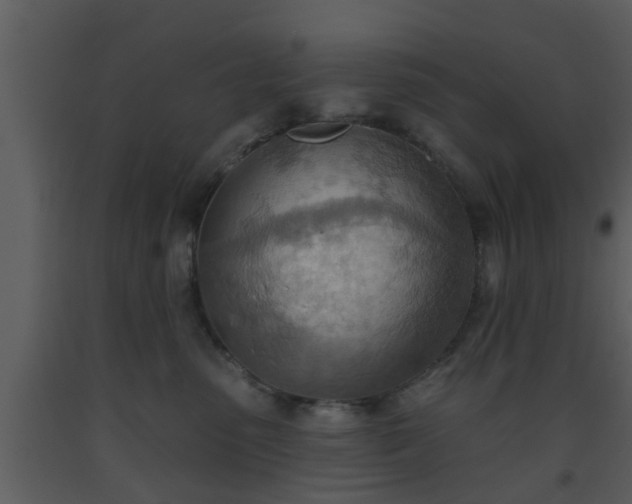 X0000093520475200710191336