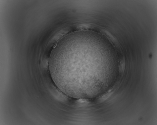 X0000093520477200710191336