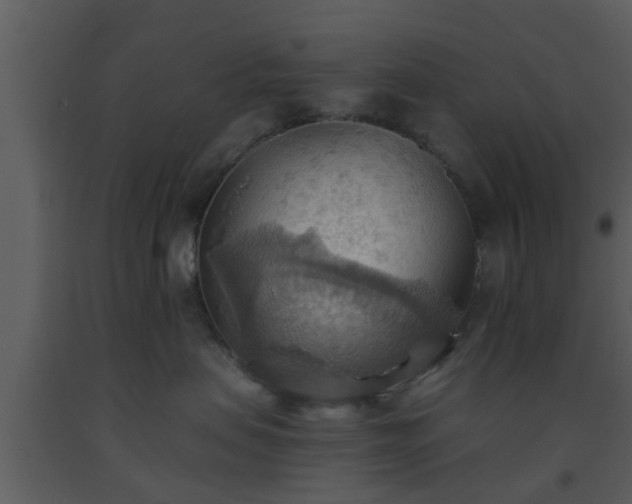 X0000093520479200710191336