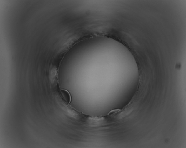 X0000093520480200710191336