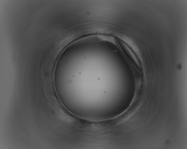 X0000093520481200710191335