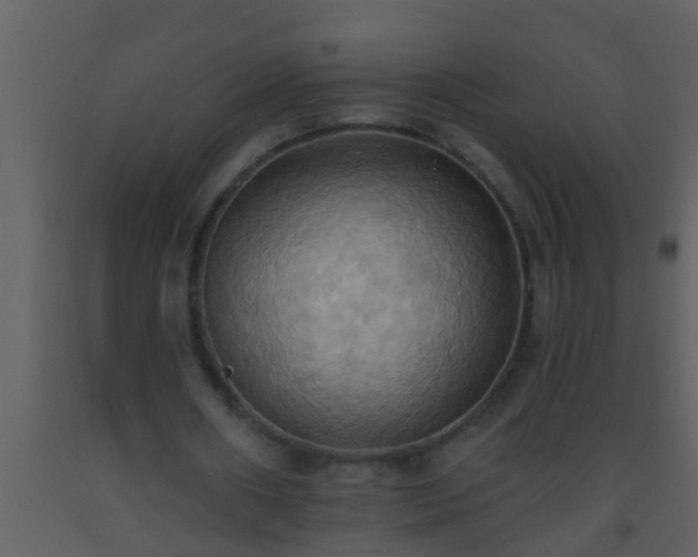 X0000093520482200710191335