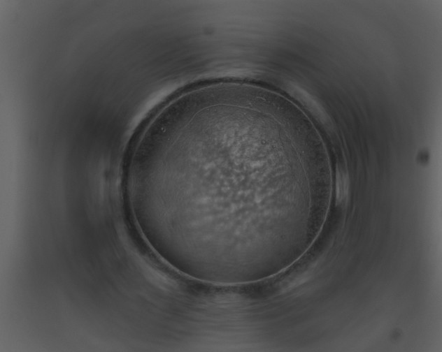 X0000093520483200710191335