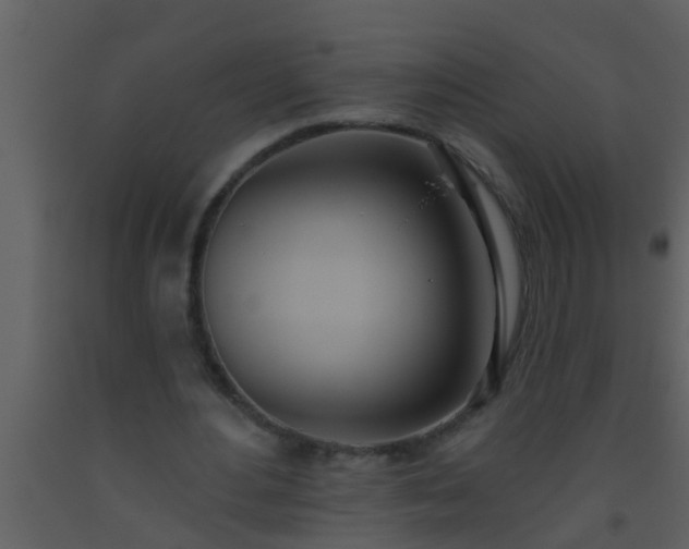 X0000093520484200710191335