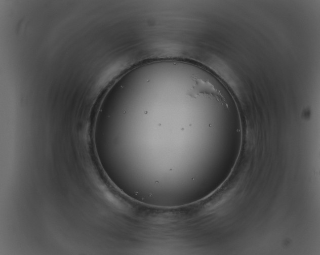 X0000093520485200710191335