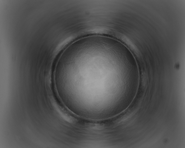 X0000093520486200710191335