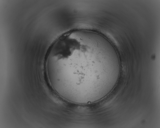 X0000093520487200710191335