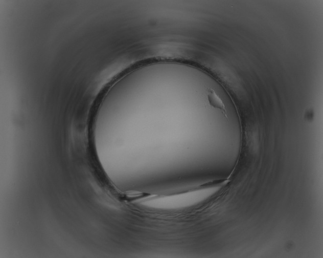 X0000093520488200710191335