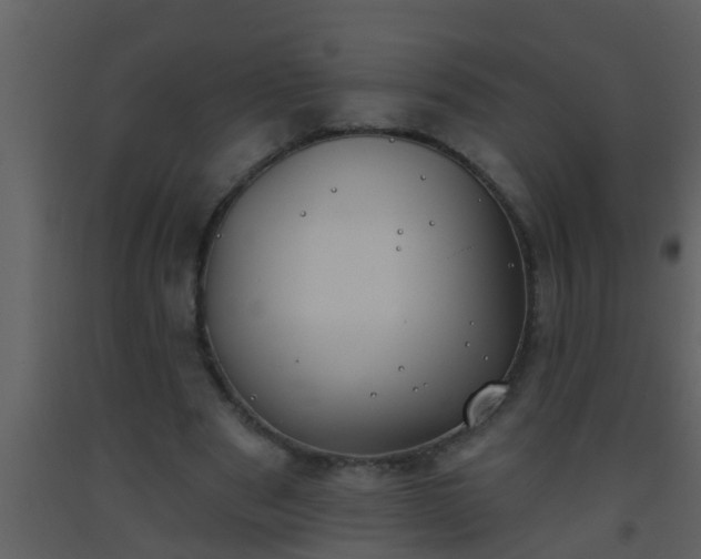 X0000093520489200710191335