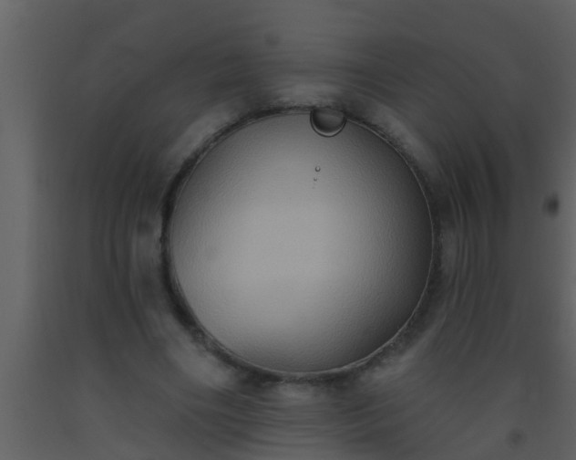 X0000093520490200710191335