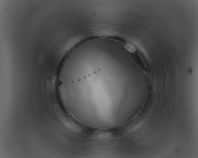 X0000093520491200710191335