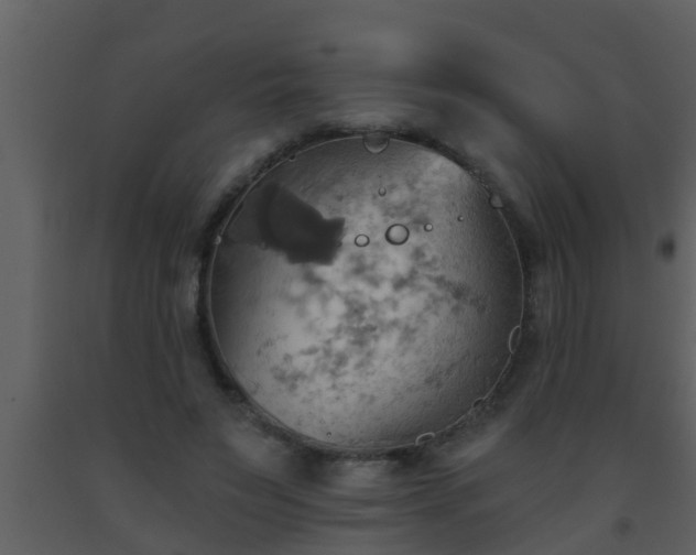 X0000093520495200710191335