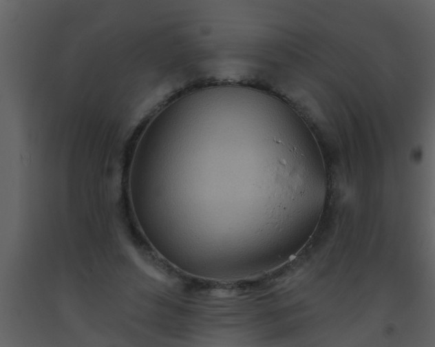 X0000093520496200710191335