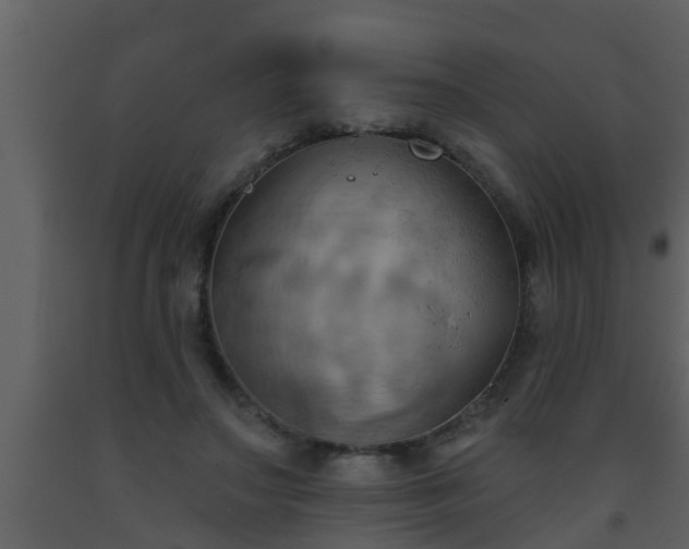 X0000093520499200710191335