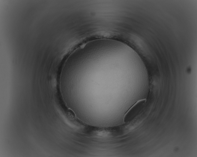 X0000093520500200710191335