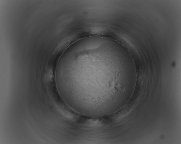 X0000093520502200710191335