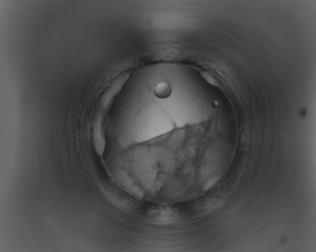 X0000093520503200710191335