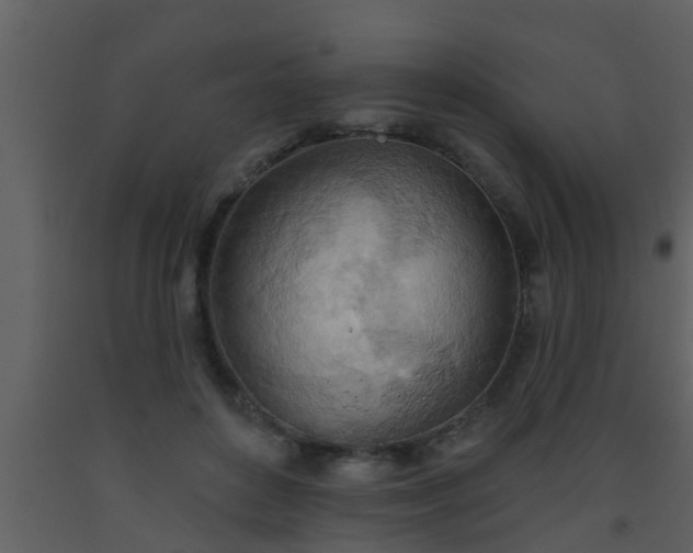 X0000093520504200710191335