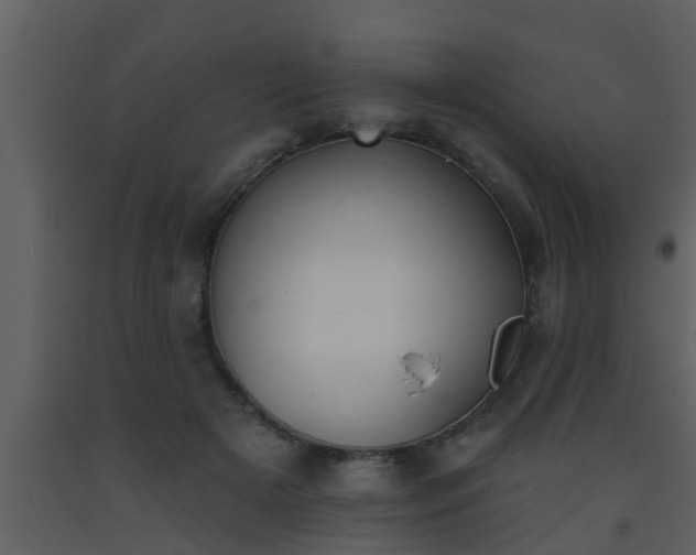 X0000093520505200710191335