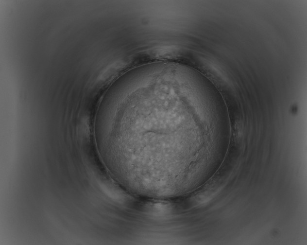 X0000093520506200710191335