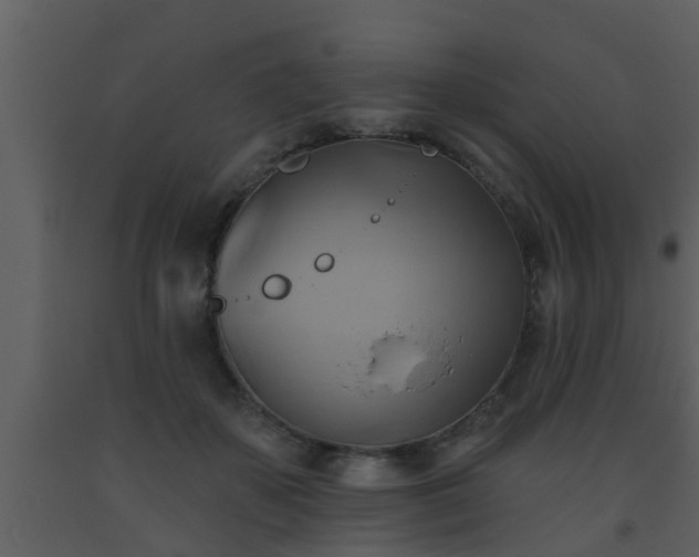 X0000093520507200710191335