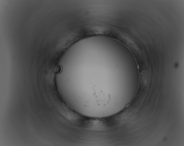 X0000093520509200710191335