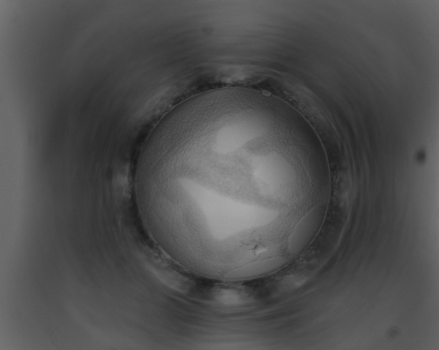 X0000093520510200710191335