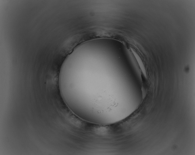 X0000093520513200710191335