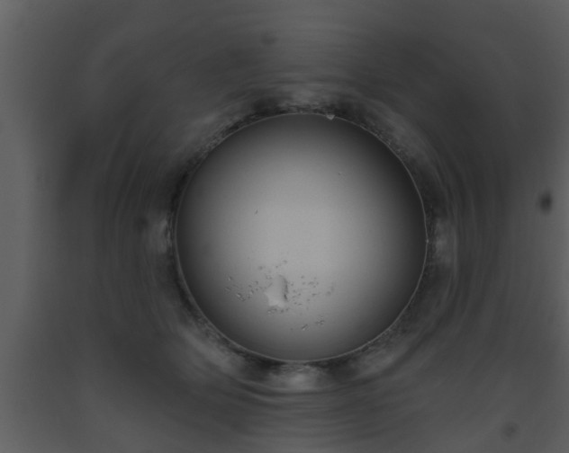 X0000093520514200710191335