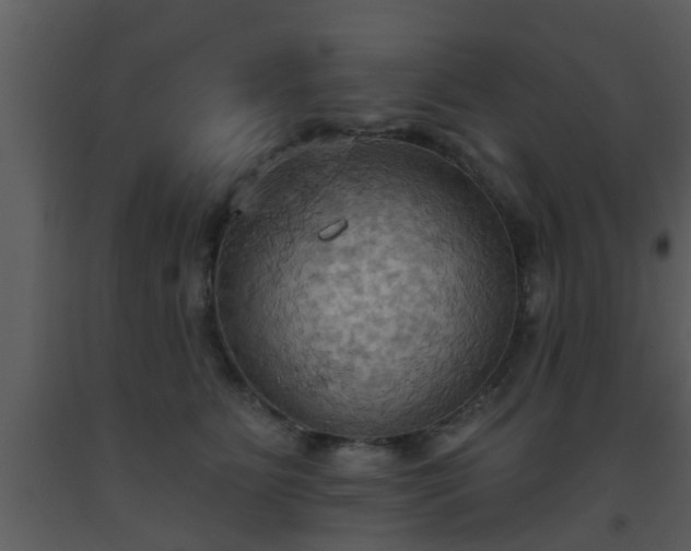 X0000093520515200710191335