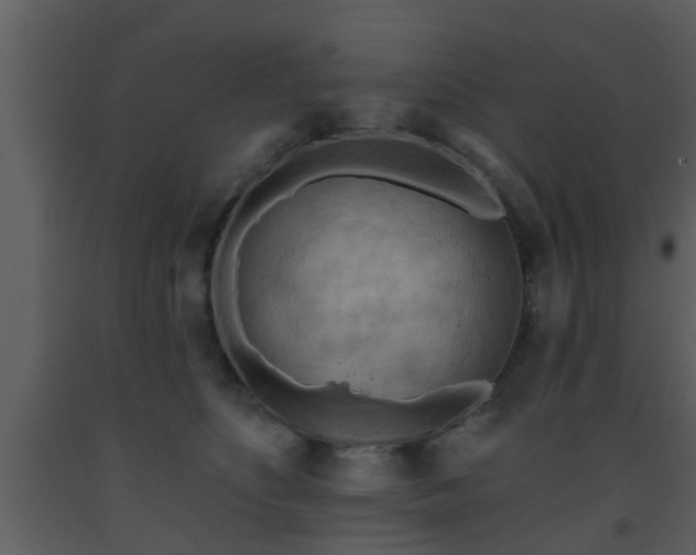 X0000093520516200710191335