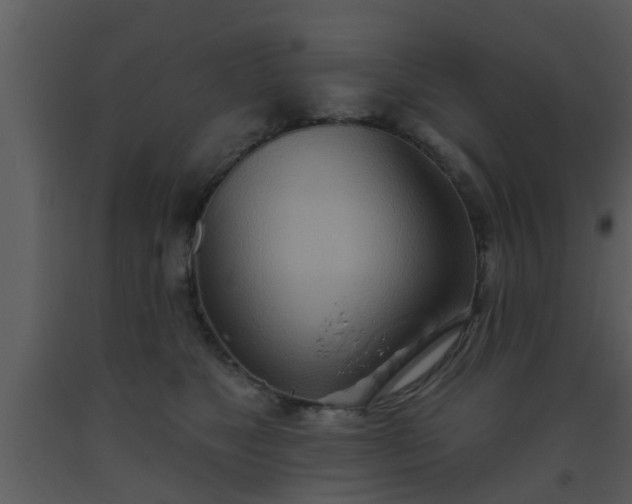 X0000093520517200710191335