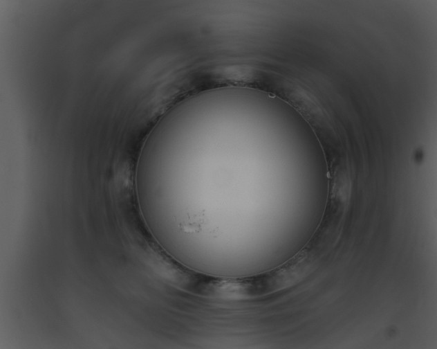 X0000093520518200710191335