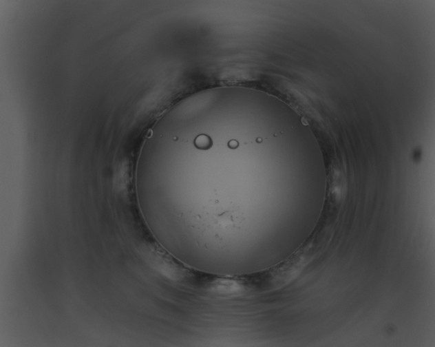 X0000093520519200710191335