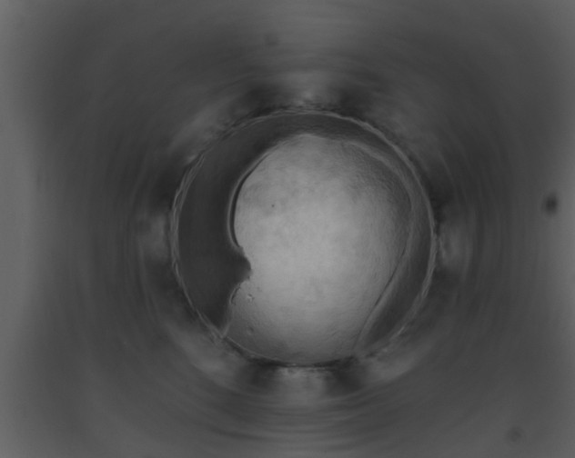 X0000093520520200710191335